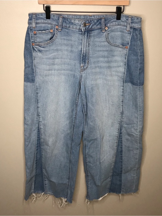American Eagle Outfitters Denim - American Eagle Low Rise Baggy Wide Leg Jeans Women’s Size 12